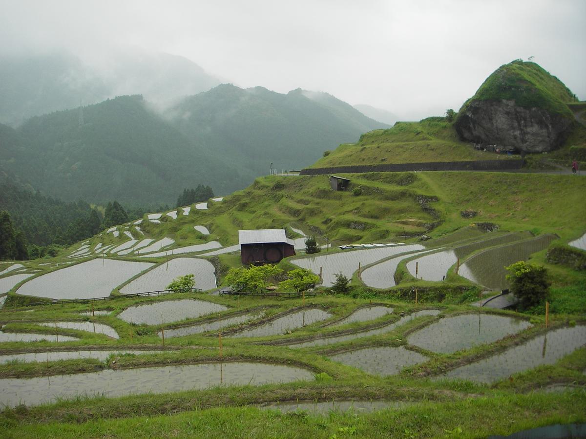 Kumano Backpackers Vandrehjem Tanabe Eksteriør billede