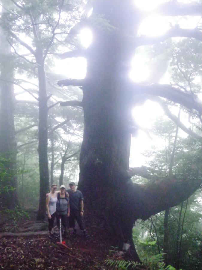 Kumano Backpackers Vandrehjem Tanabe Eksteriør billede